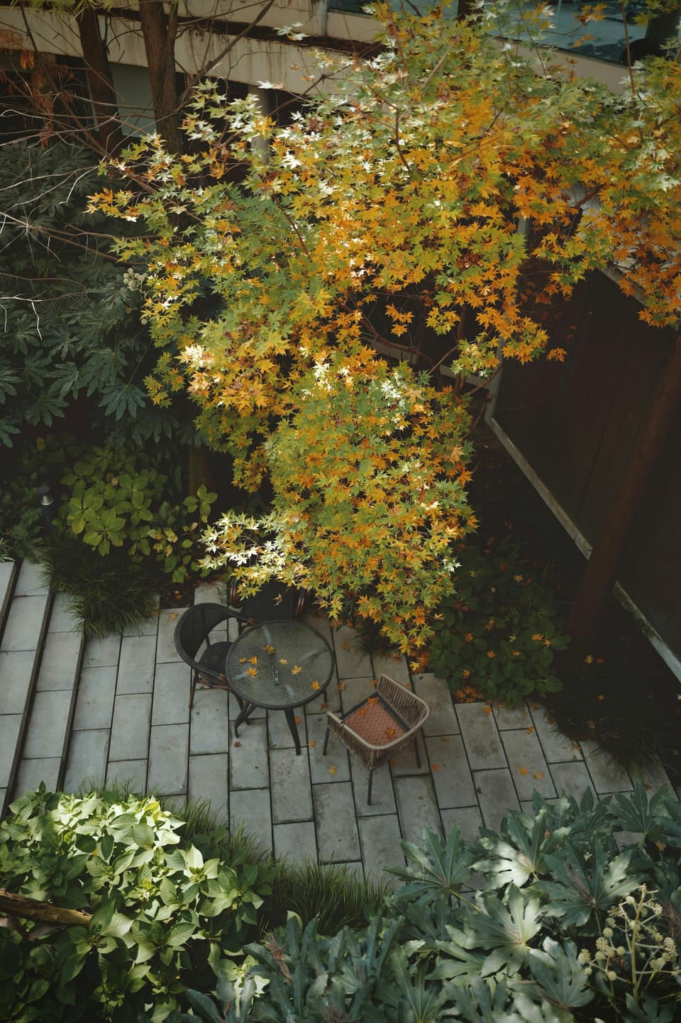 Fallen autumn leaves scattered across a stone patio beside a bistro table.