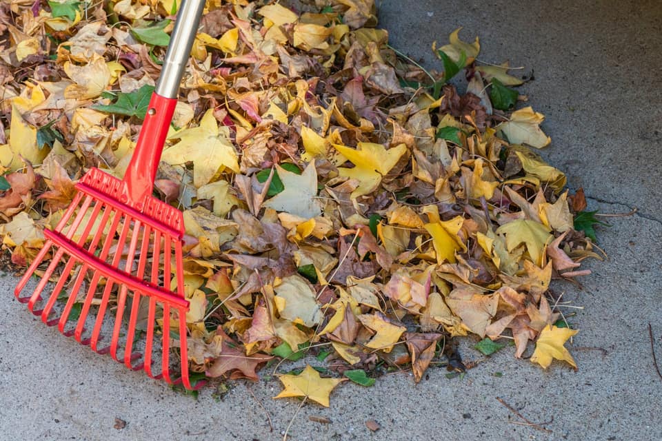 A red rake resting on a pile of brown and yellow fallen leaves.