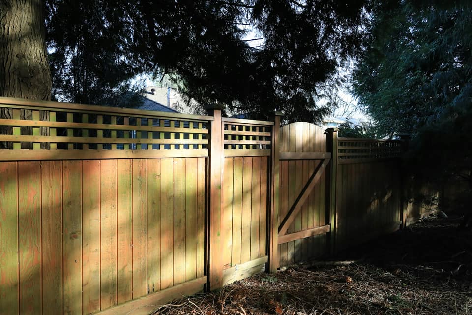A tall natural wood privacy fence with a matching gate in a shaded yard.