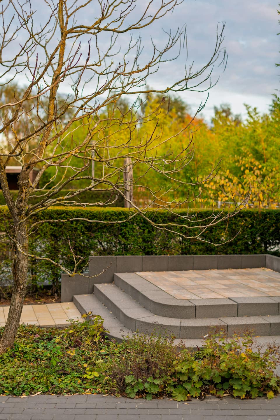 Wide stone steps leading up to a paver patio, framed by clipped hedges and trees turning gold.